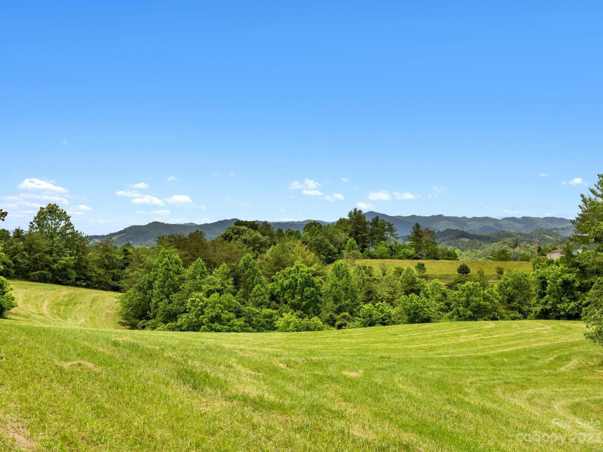 52.88 acres in Madison County, North Carolina