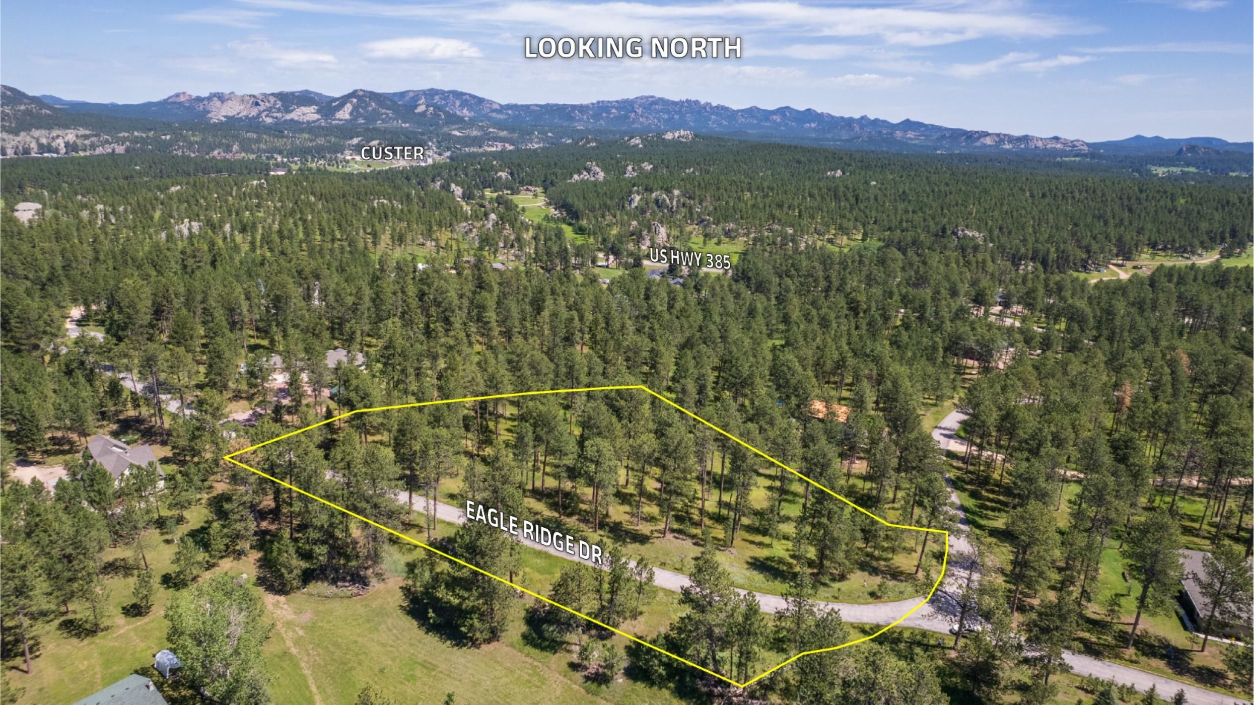Eagle Ridge Drive, Custer, SD 57730 MLS 77214