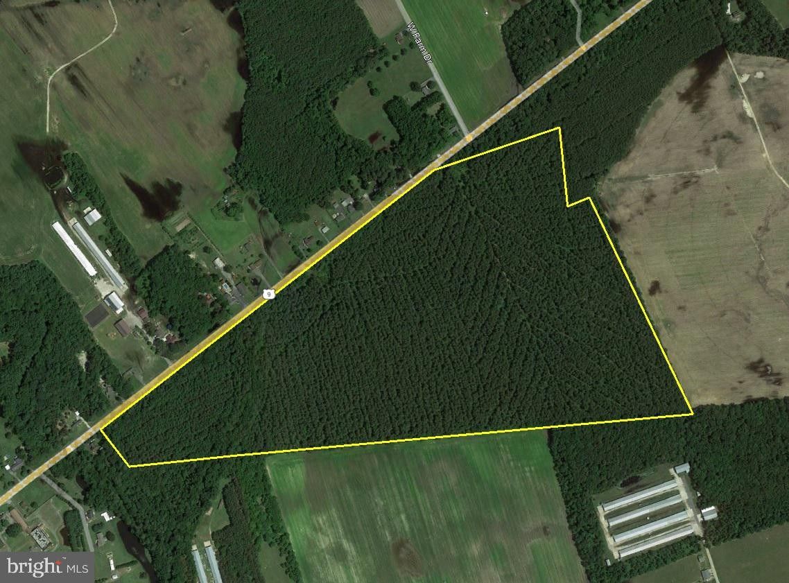 100 acres in Sussex County, Delaware