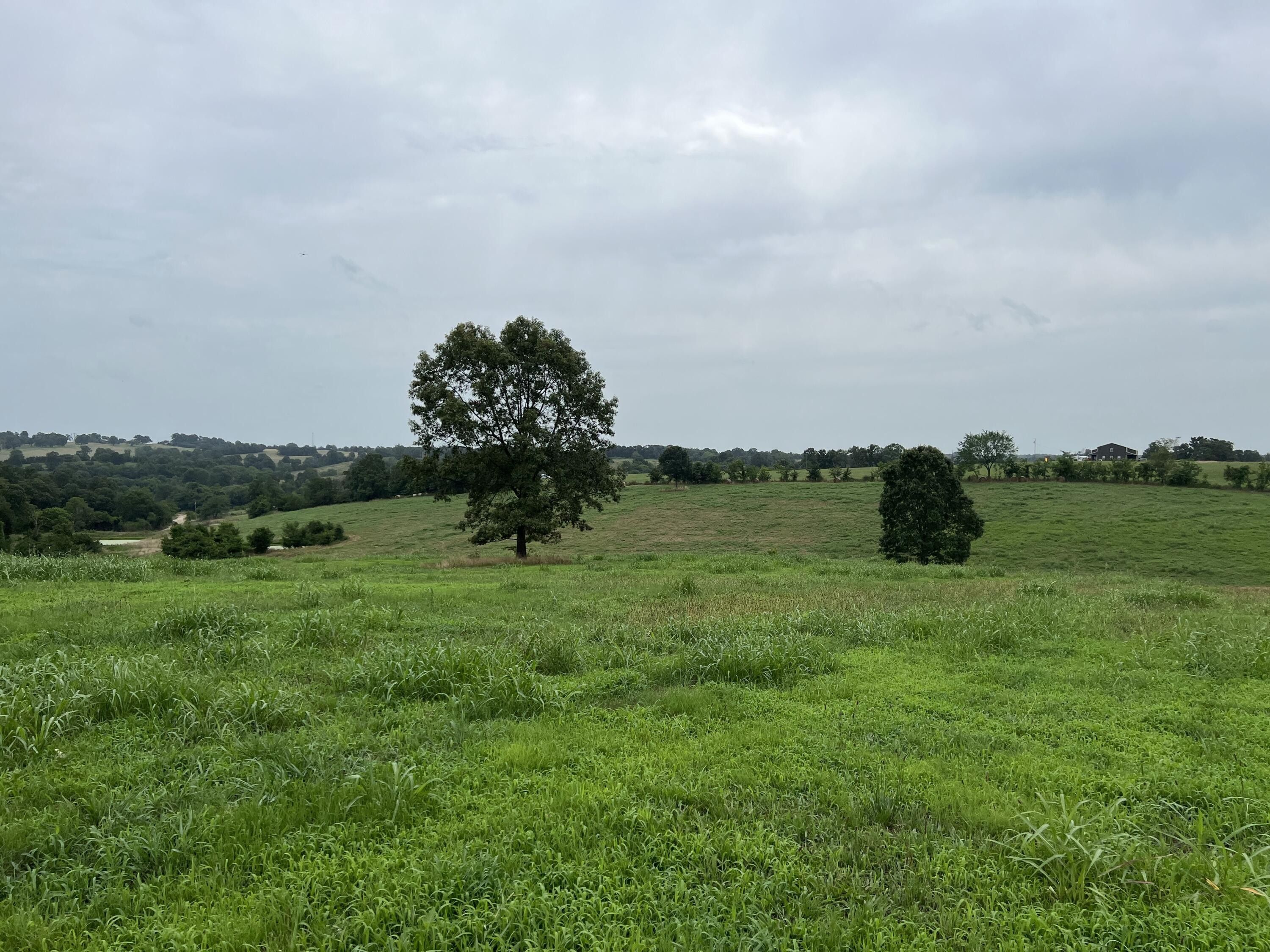 40 acres in Marion County, Arkansas