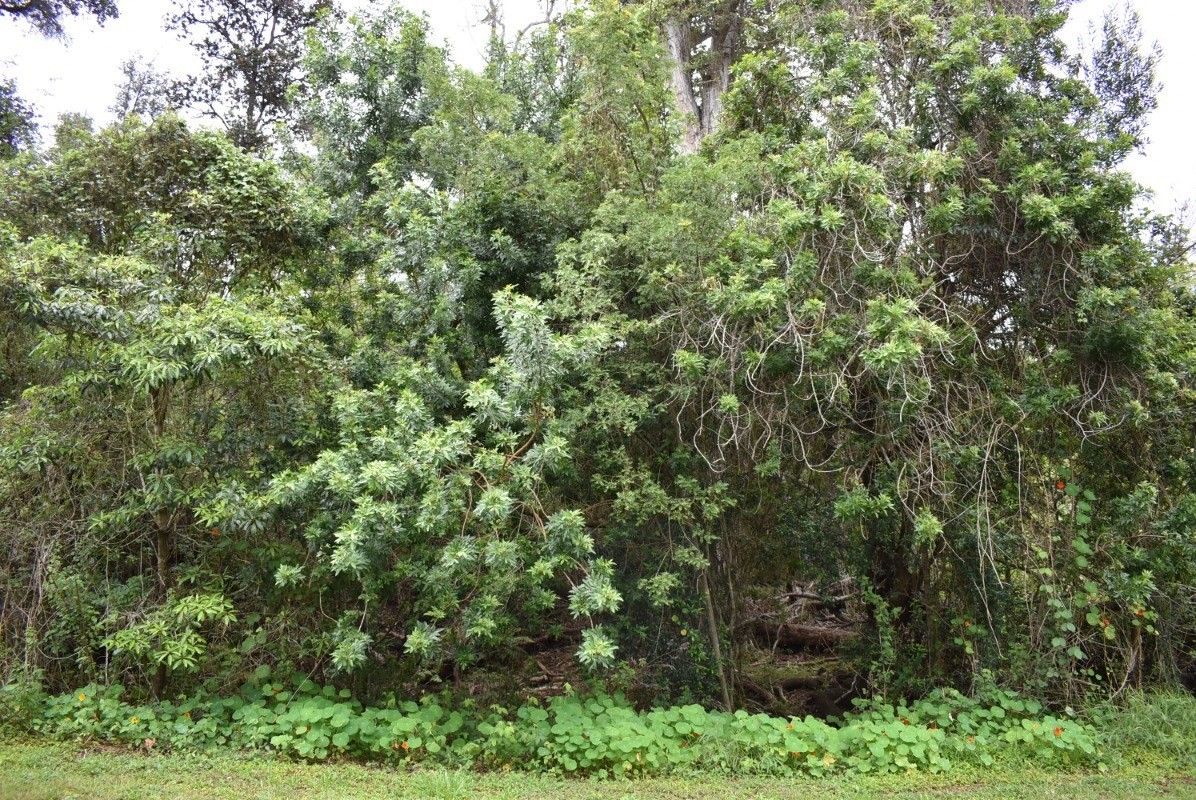 1 acres in Hawaii County, Hawaii