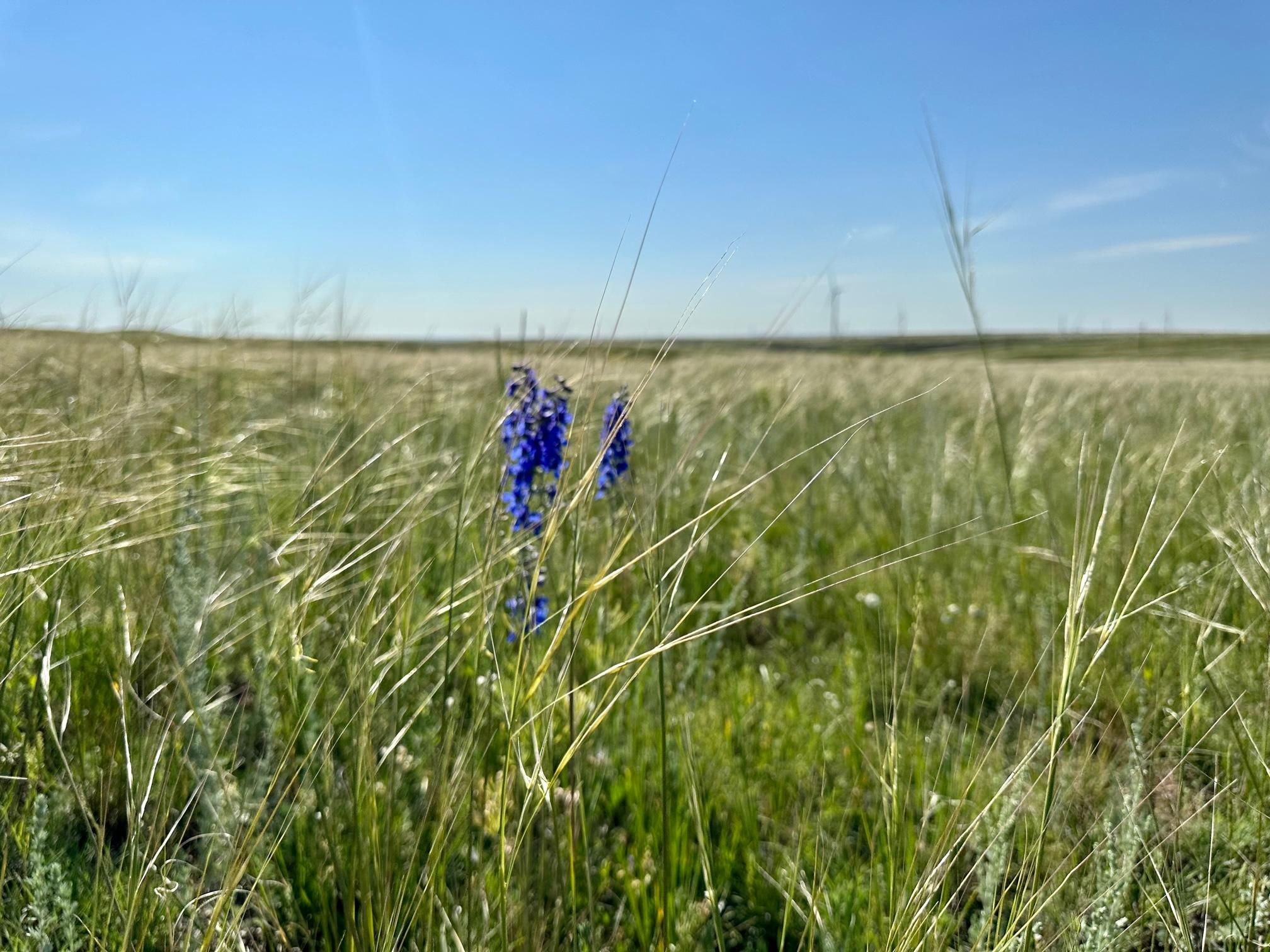 1266 Otto Road, Cheyenne, WY 82001 MLS 90521