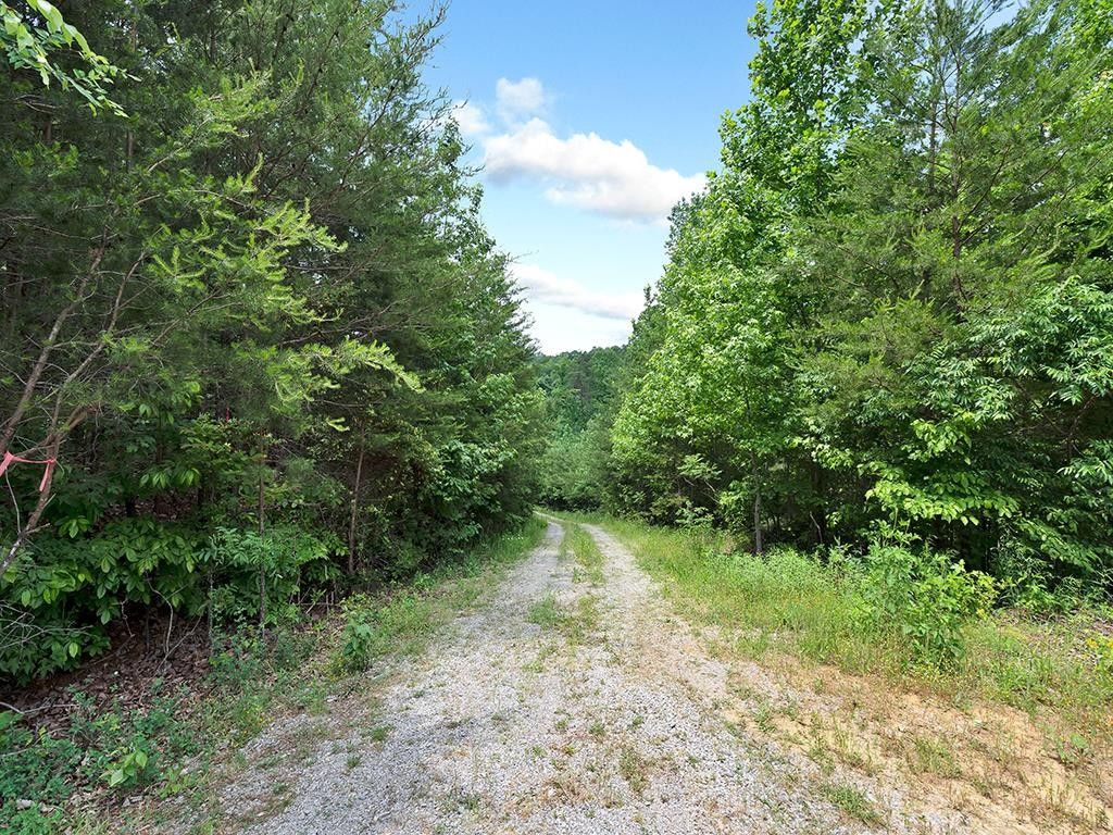16 acres in Polk County, Tennessee