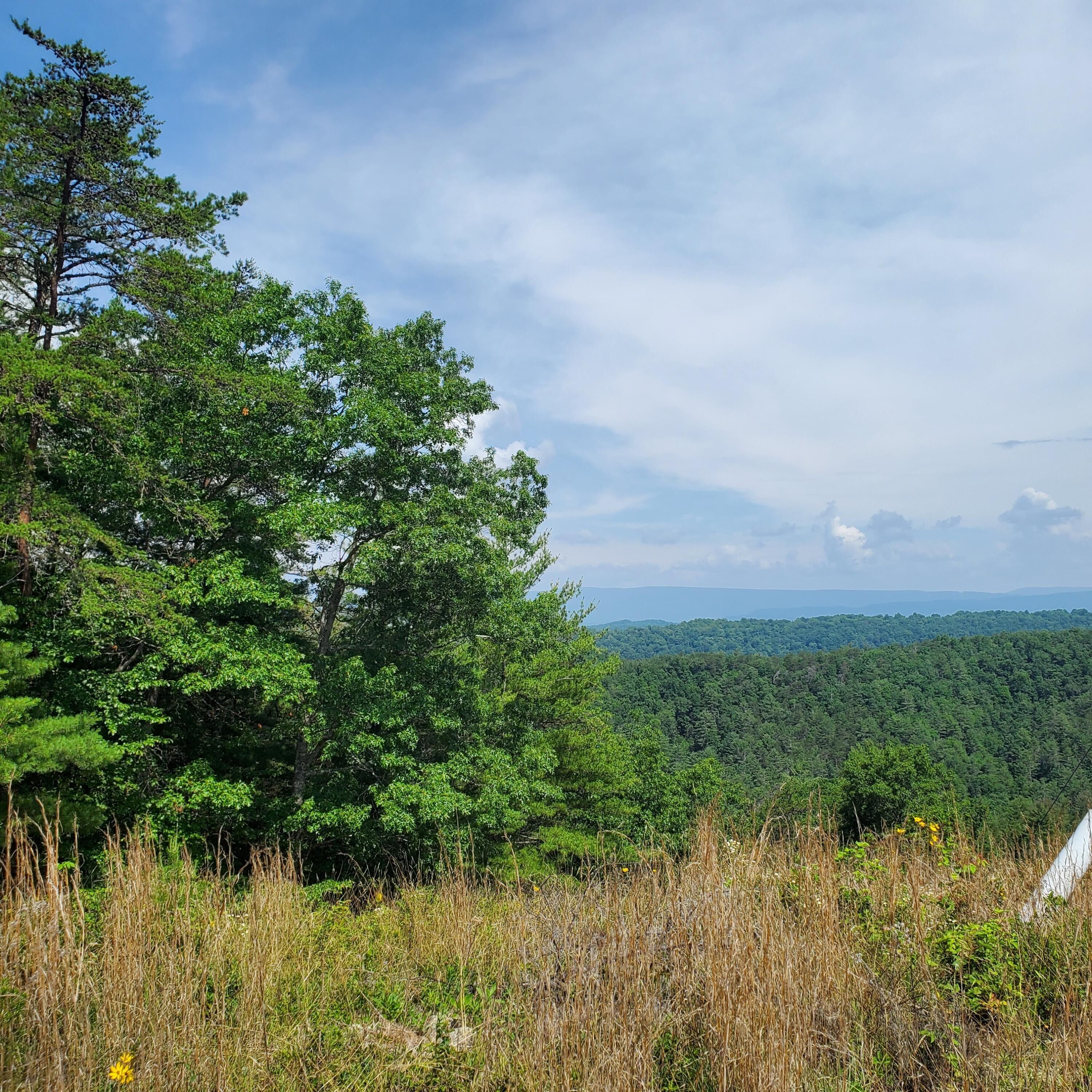 545 acres in Bath County, Virginia