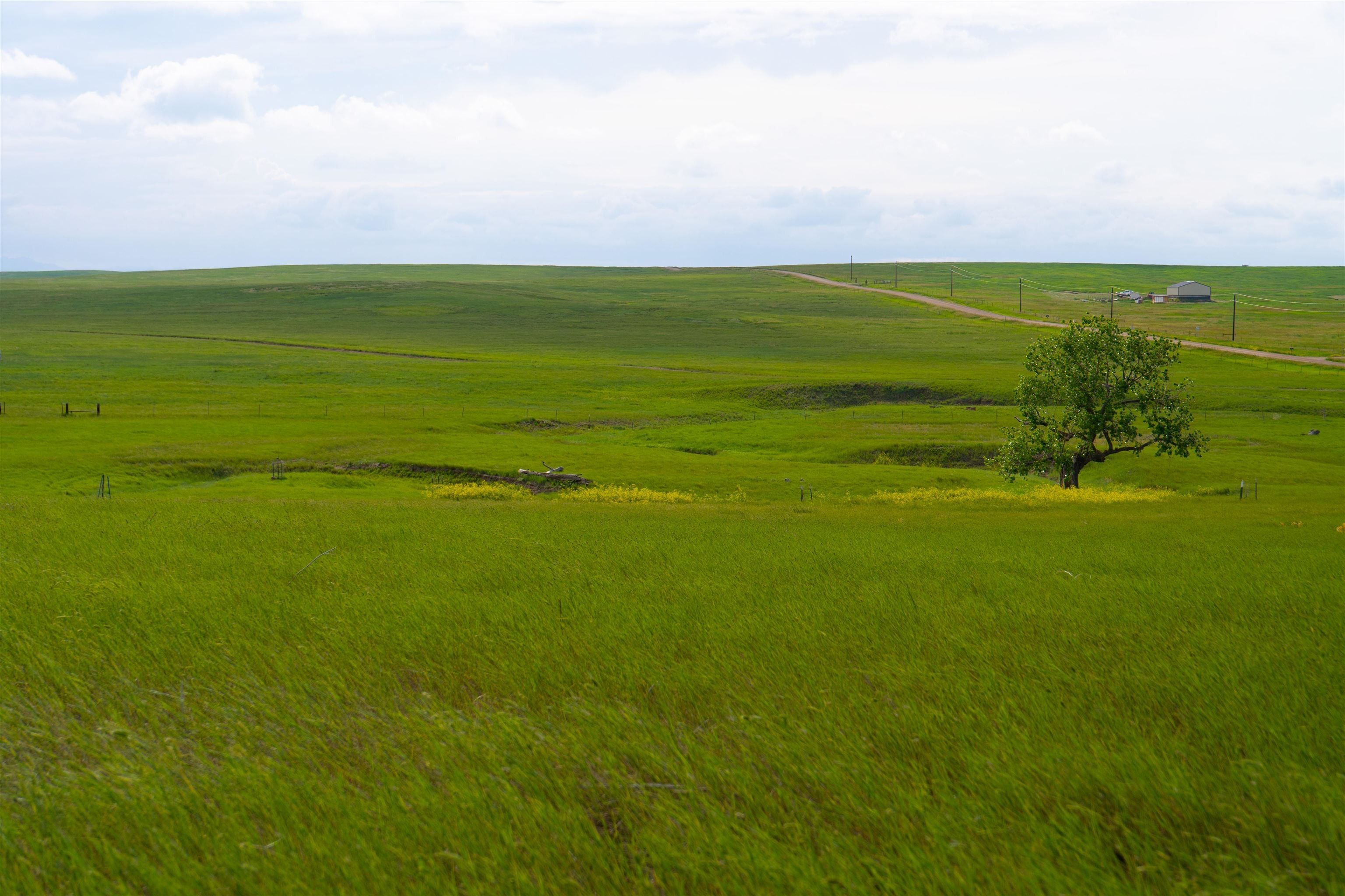 40 acres in Pennington County, South Dakota