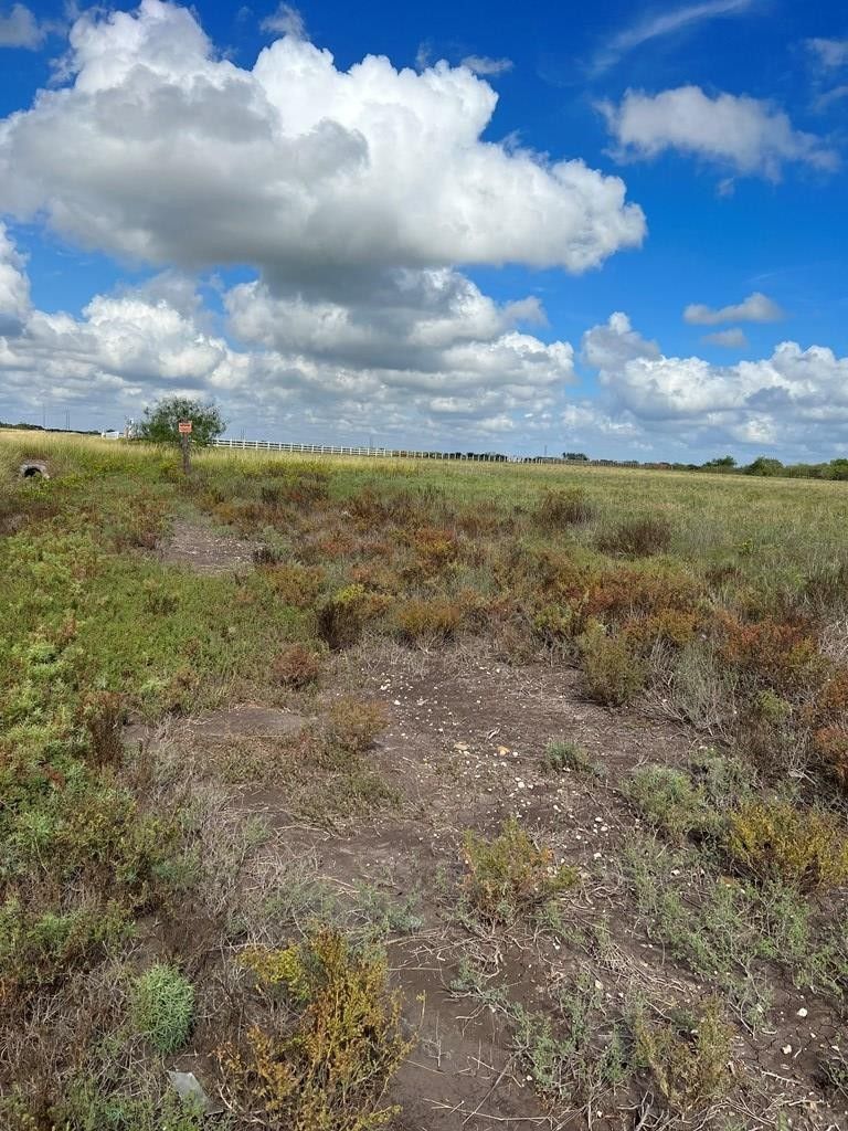 Land/Acreage Brownsville, TX