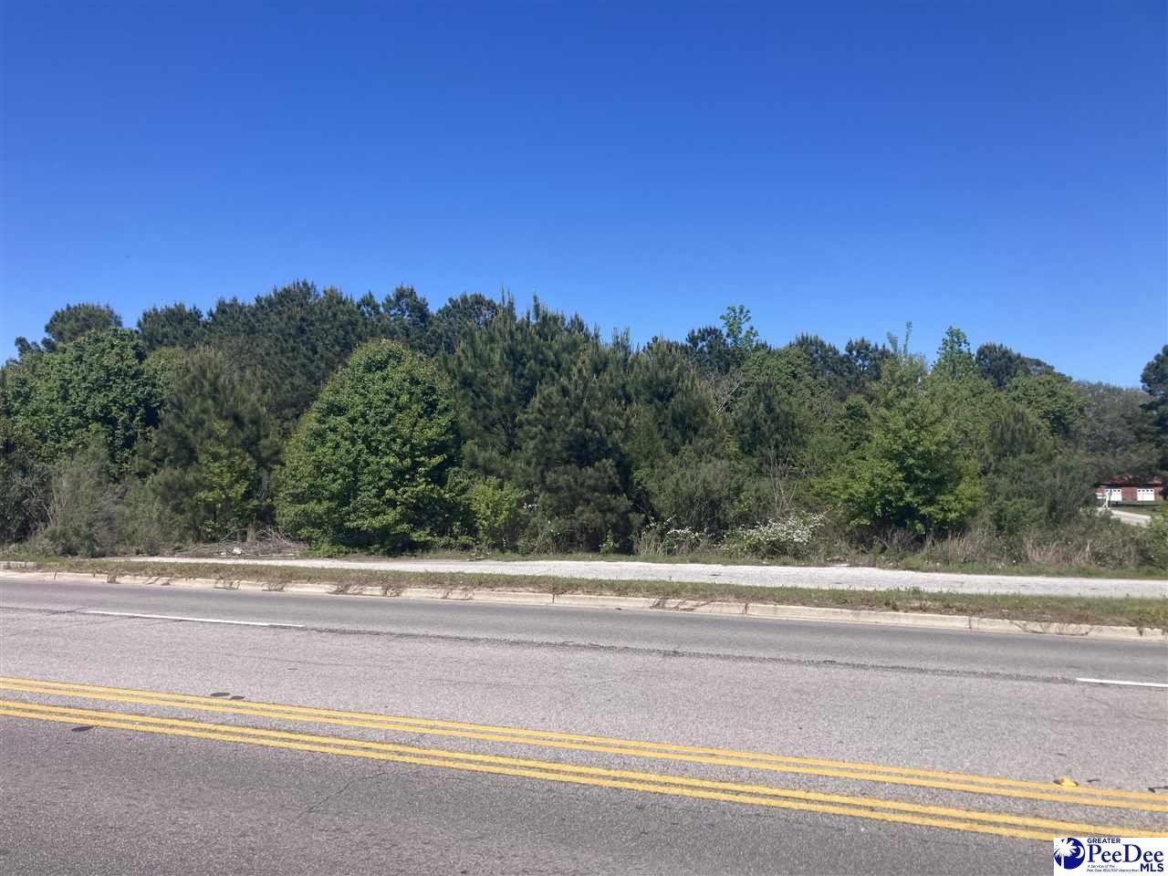 W Highway 9, Dillon, SC 29536 MLS 20231227