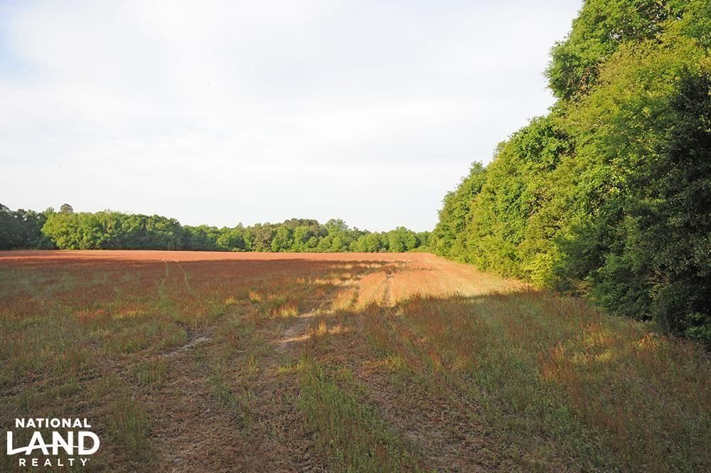 211.49 acres in Marlboro County, South Carolina
