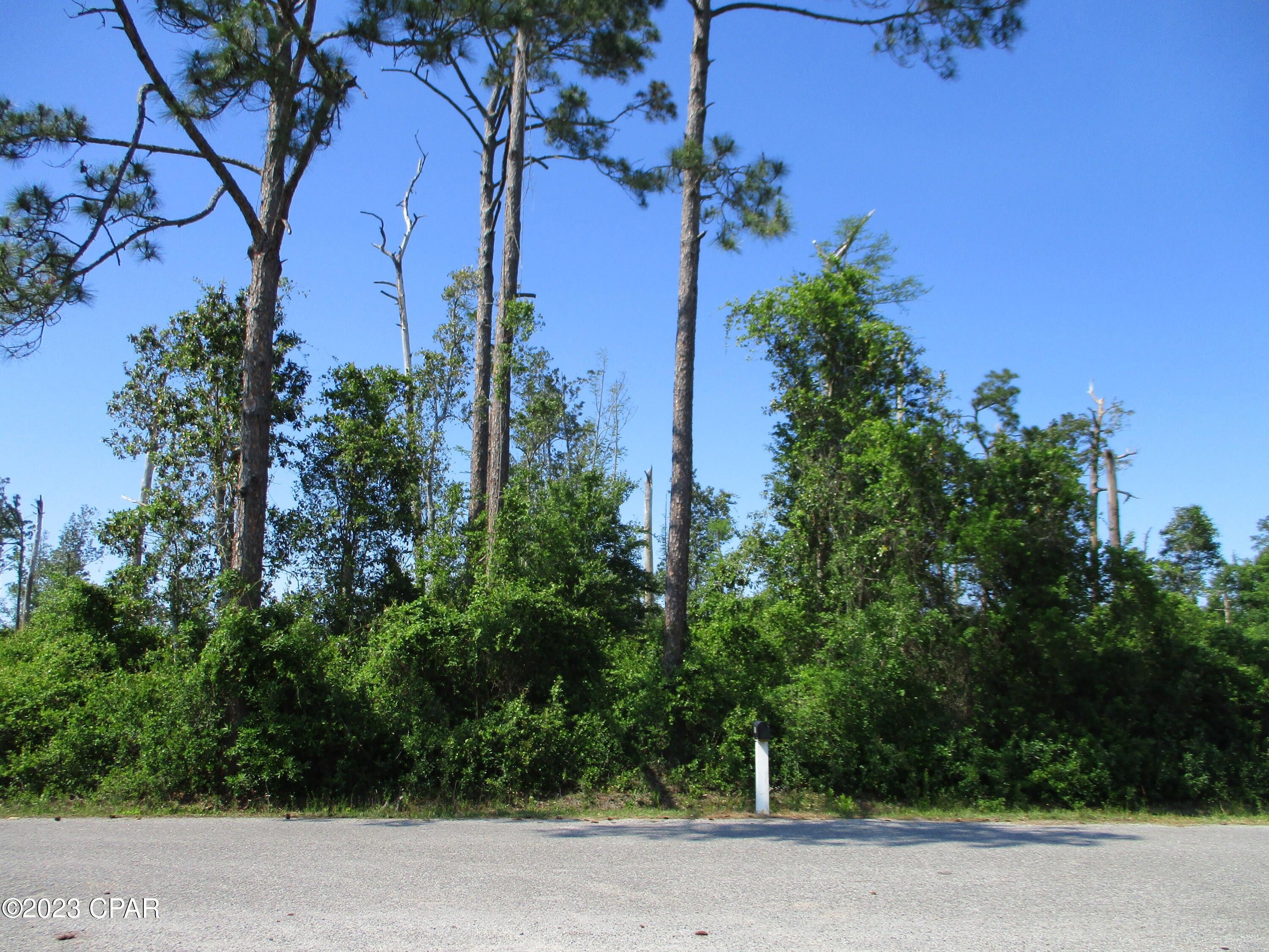 4.98 acres in Bay County, Florida