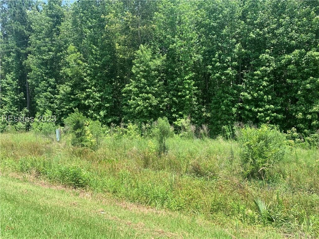4 acres in Jasper County, South Carolina