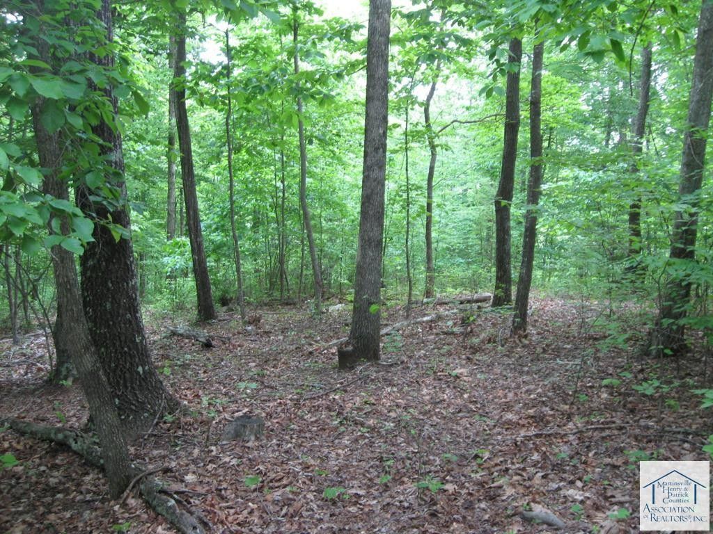 40 acres in Patrick County, Virginia