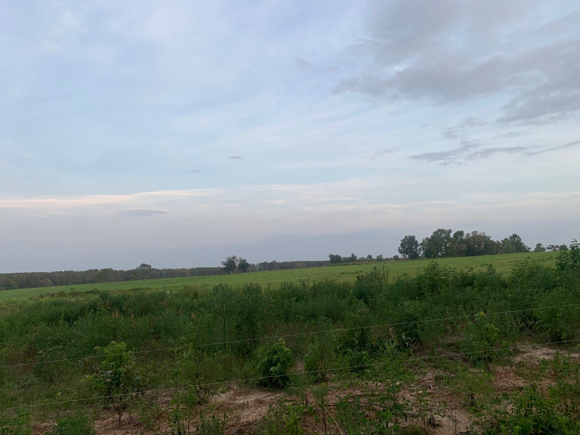 10 acres in Sabine Parish, Louisiana