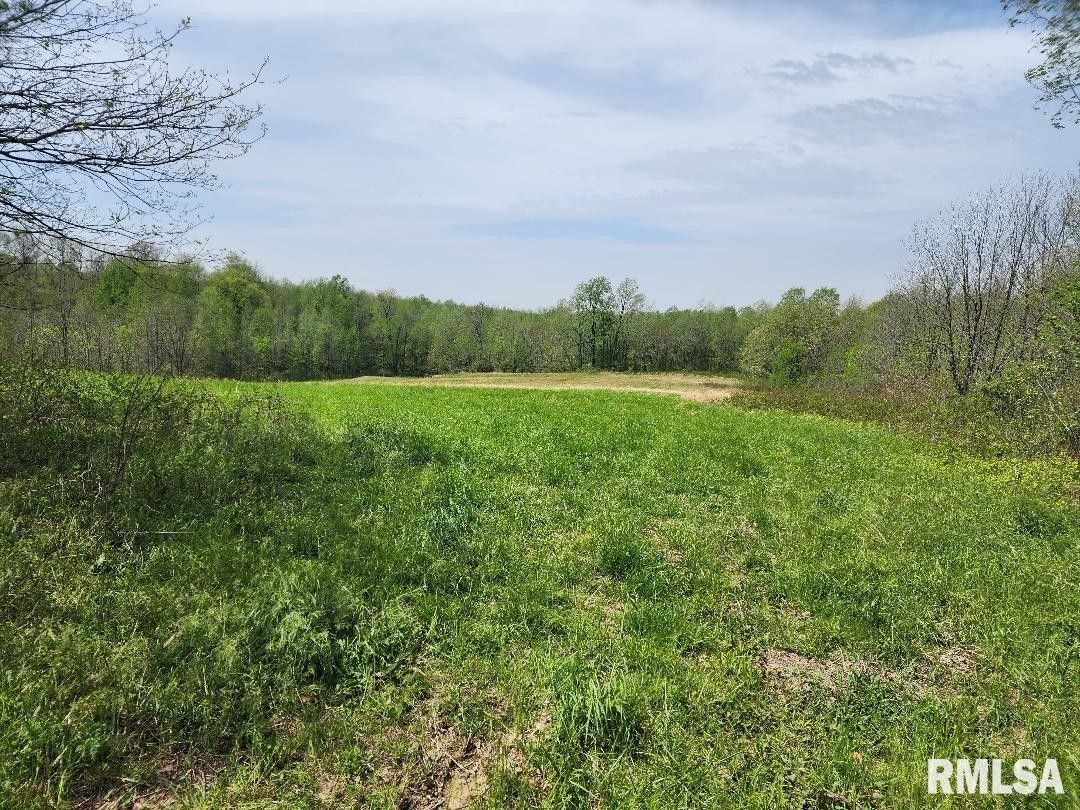 19.5 acres in Pulaski County, Illinois