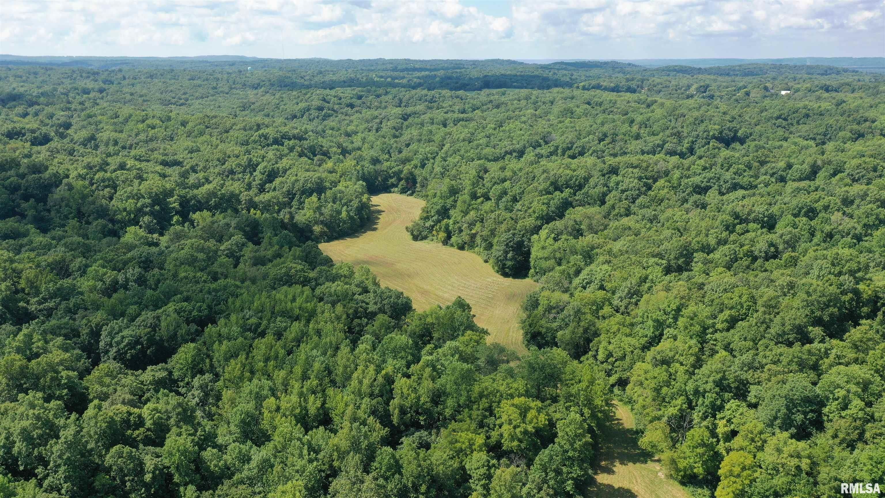 40 acres in Jackson County, Illinois