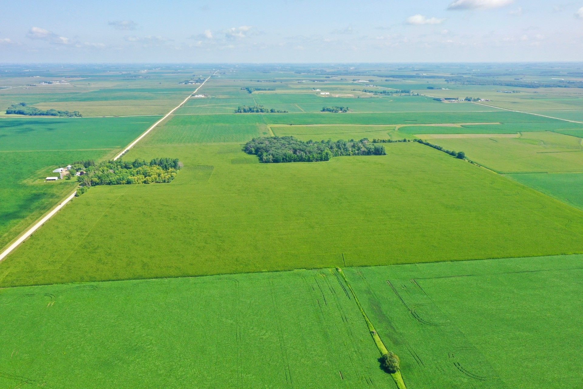 294.74 acres in Floyd County, Iowa