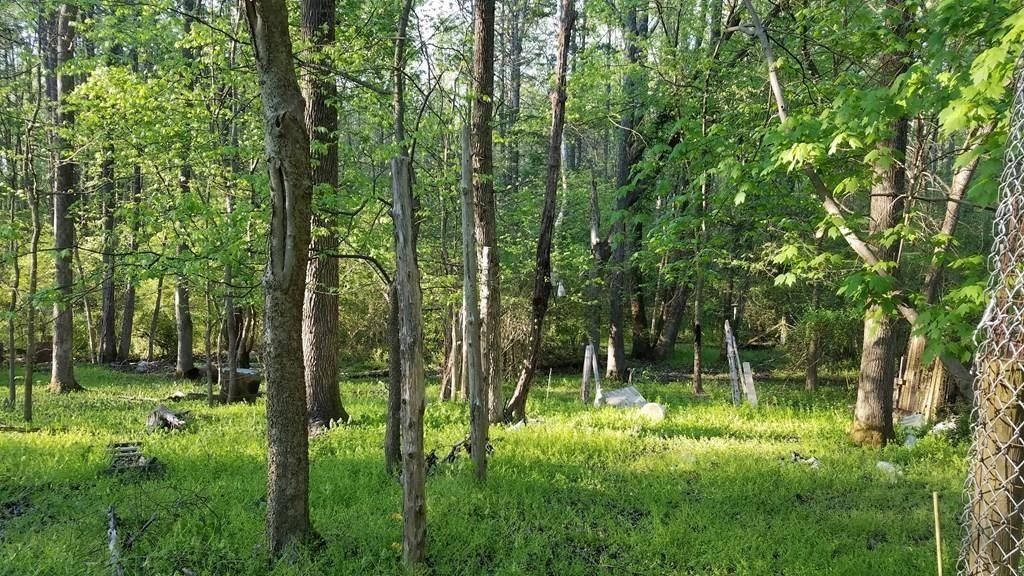 5.07 acres in Halifax County, Virginia