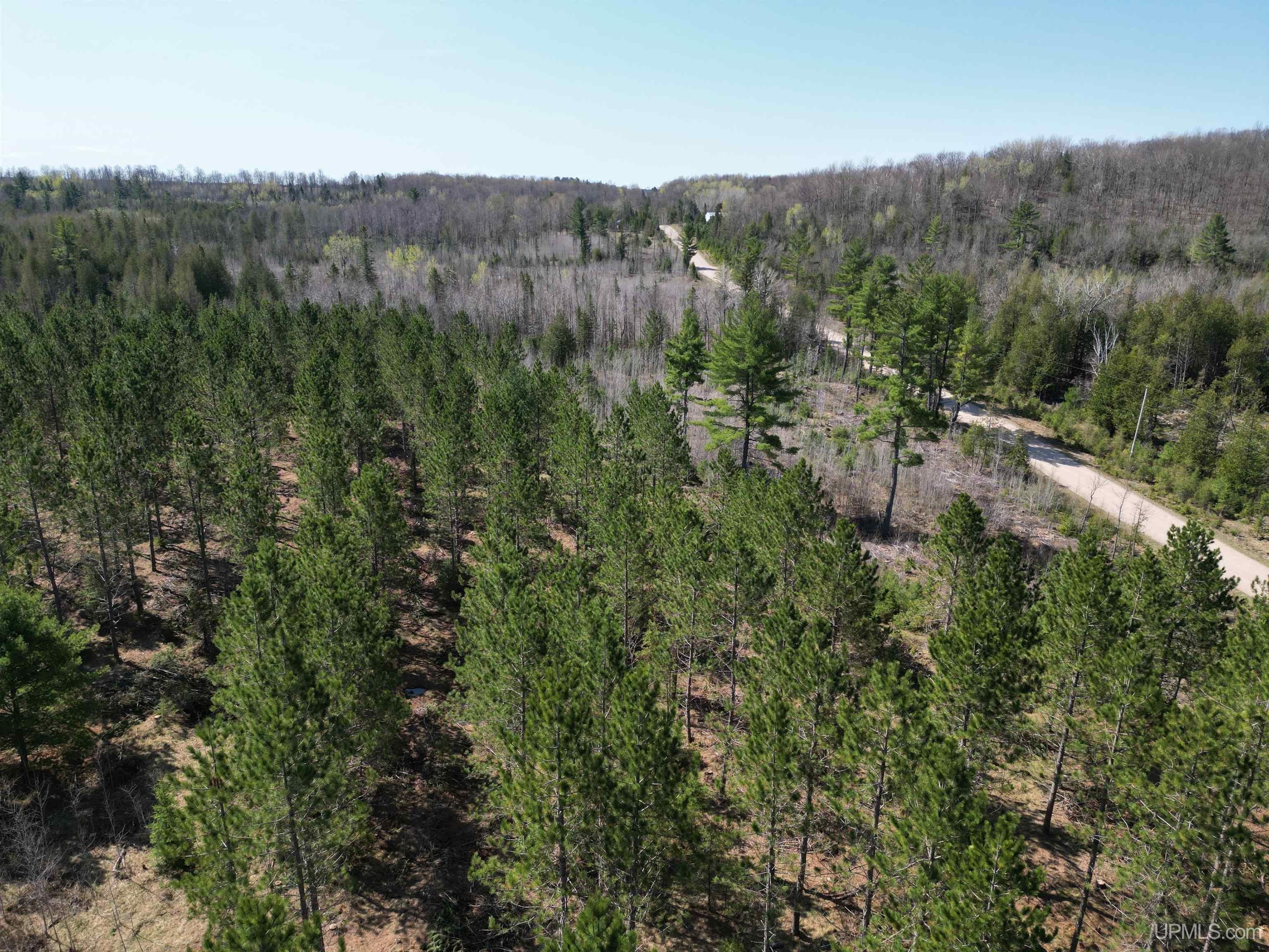 40 acres in Menominee County, Michigan