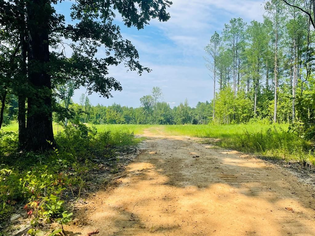 13.8 acres in Lafayette County, Mississippi