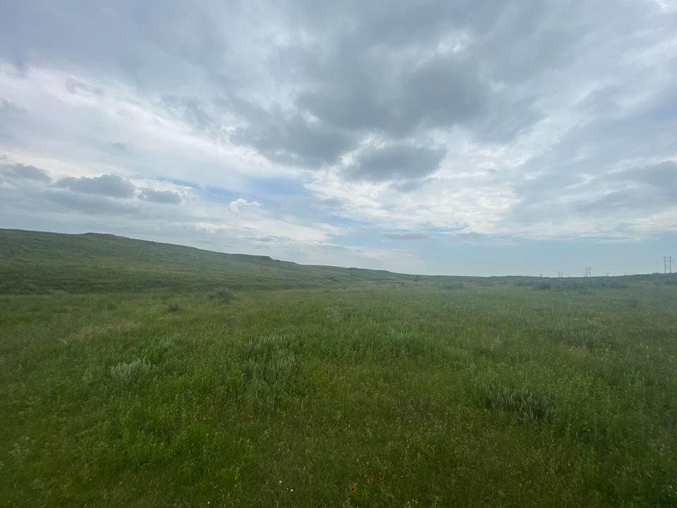 1,270 acres in Gray County, Texas