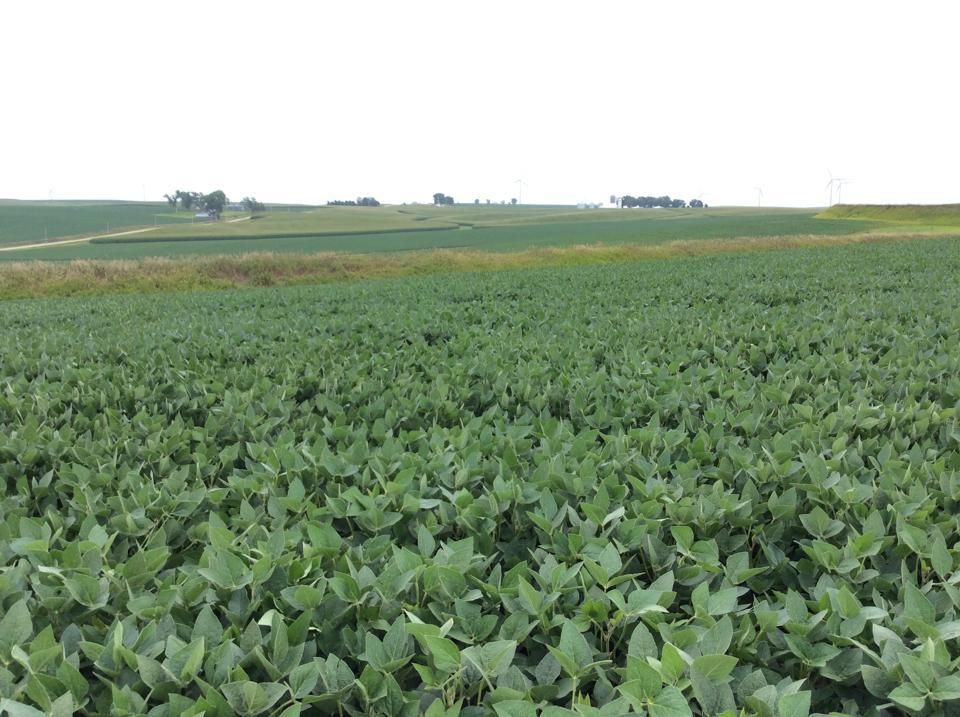 120 acres in Audubon County, Iowa