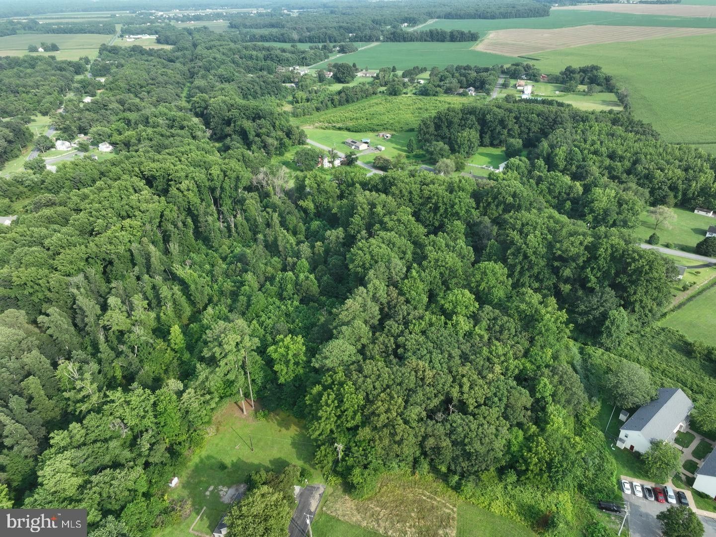 8.26 acres in Caroline County, Maryland