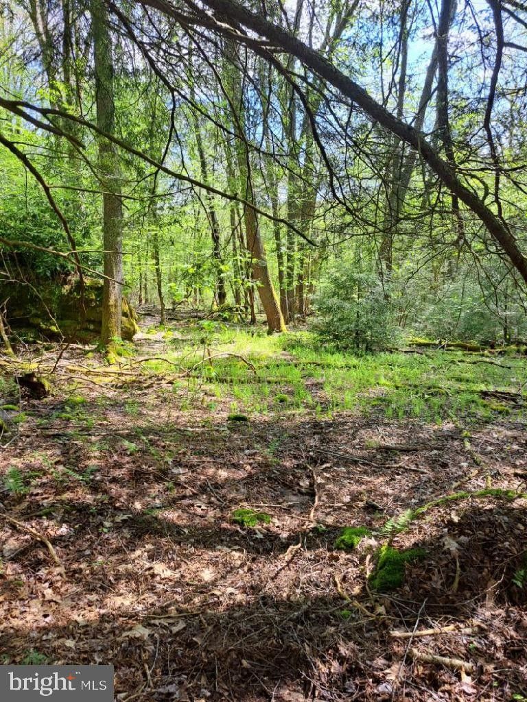 13.37 acres in Garrett County, Maryland