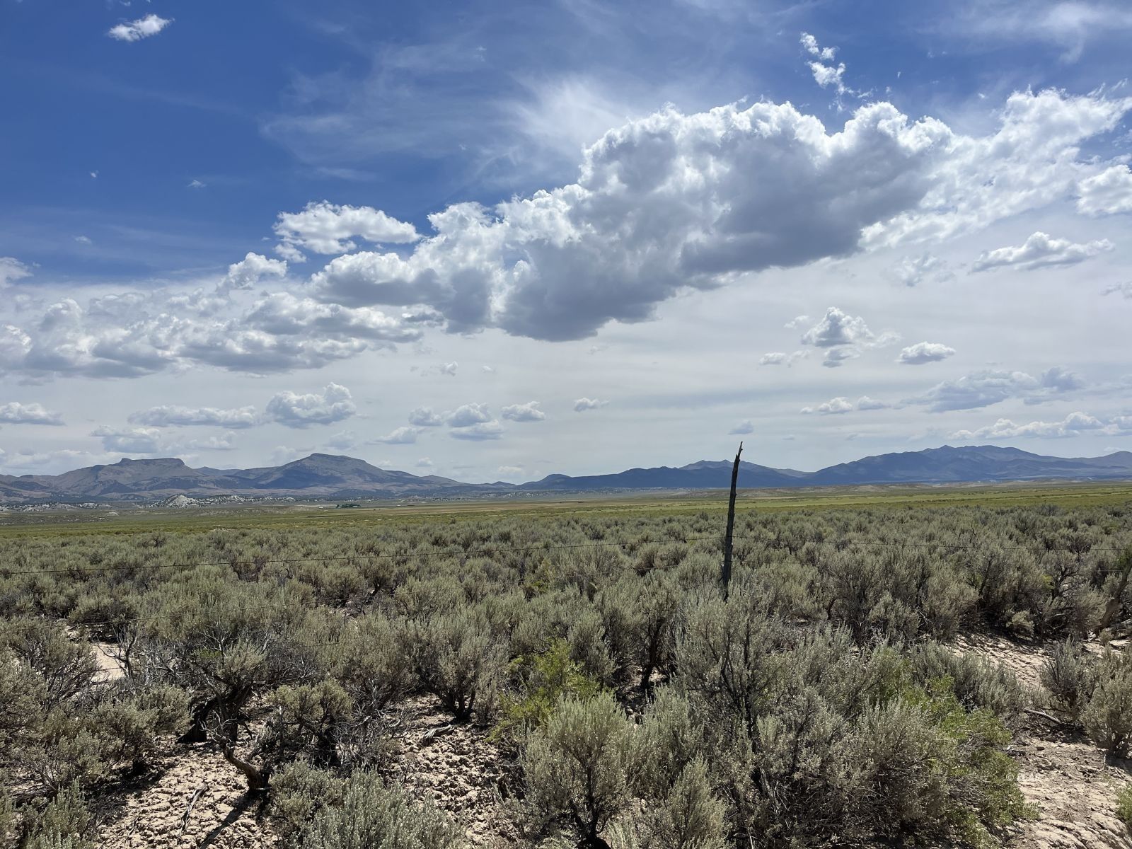 40 acres in Eureka County, Nevada