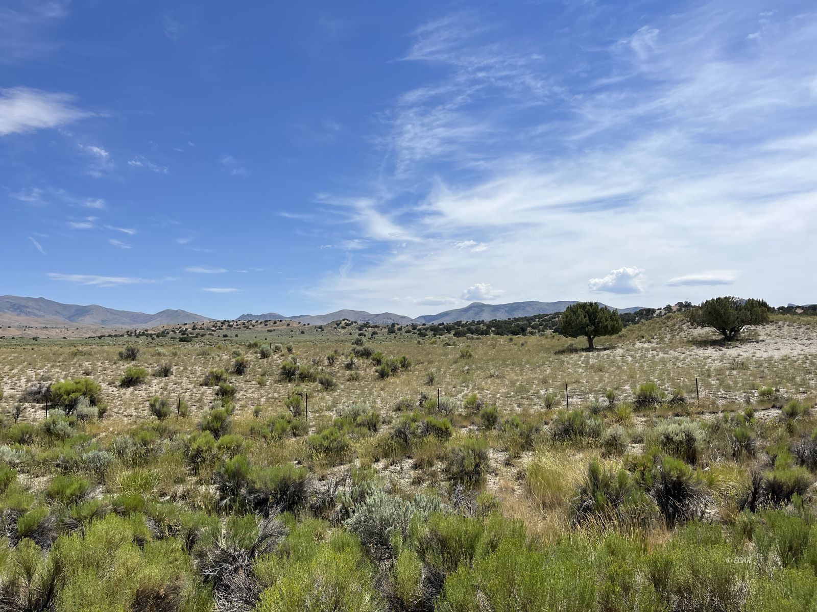 80 acres in Eureka County, Nevada