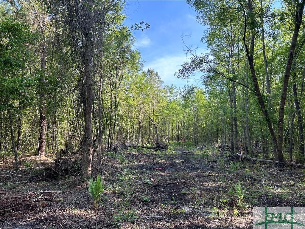 2 acres in Liberty County,