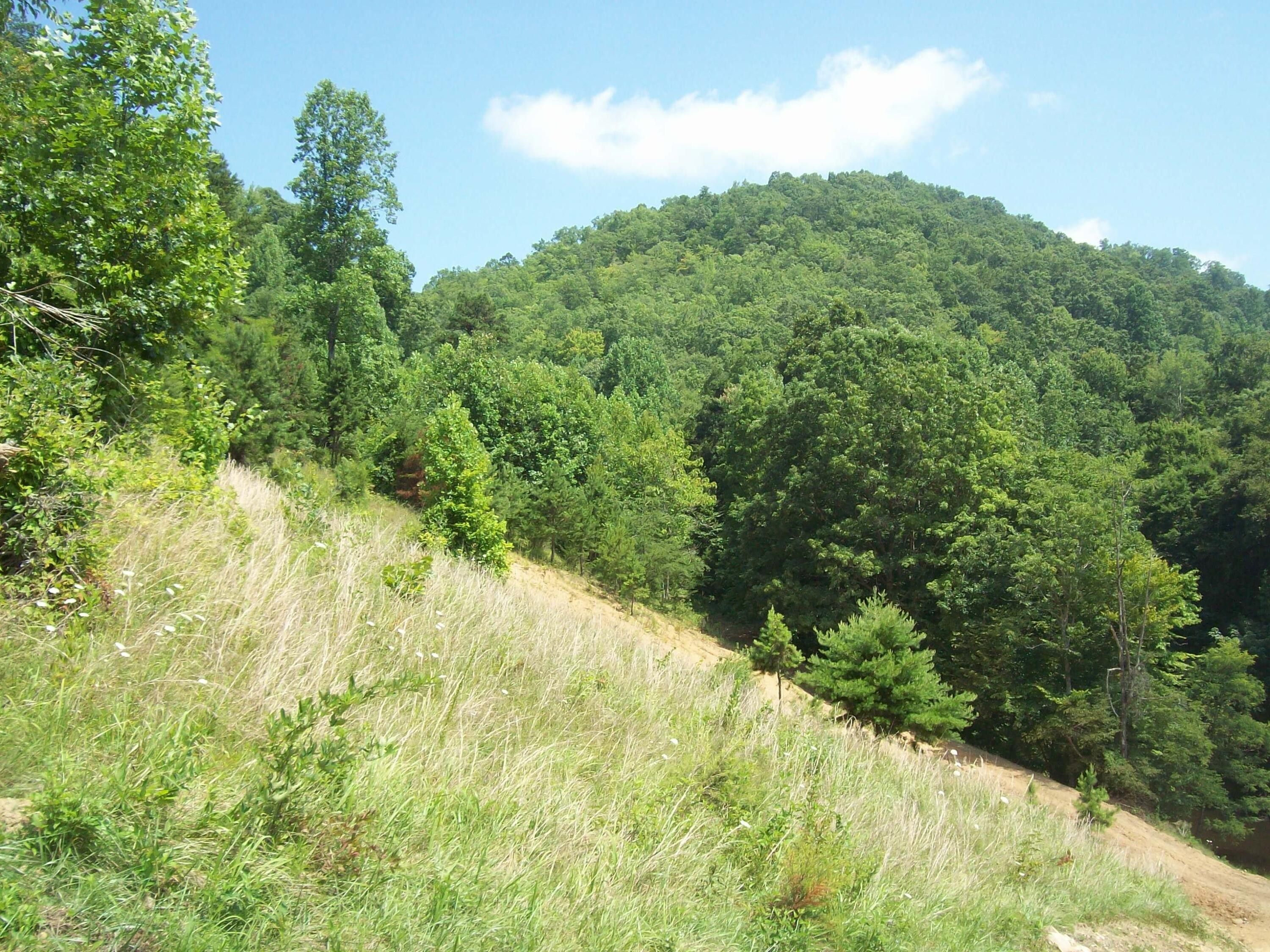 11 acres in Hancock County, Tennessee