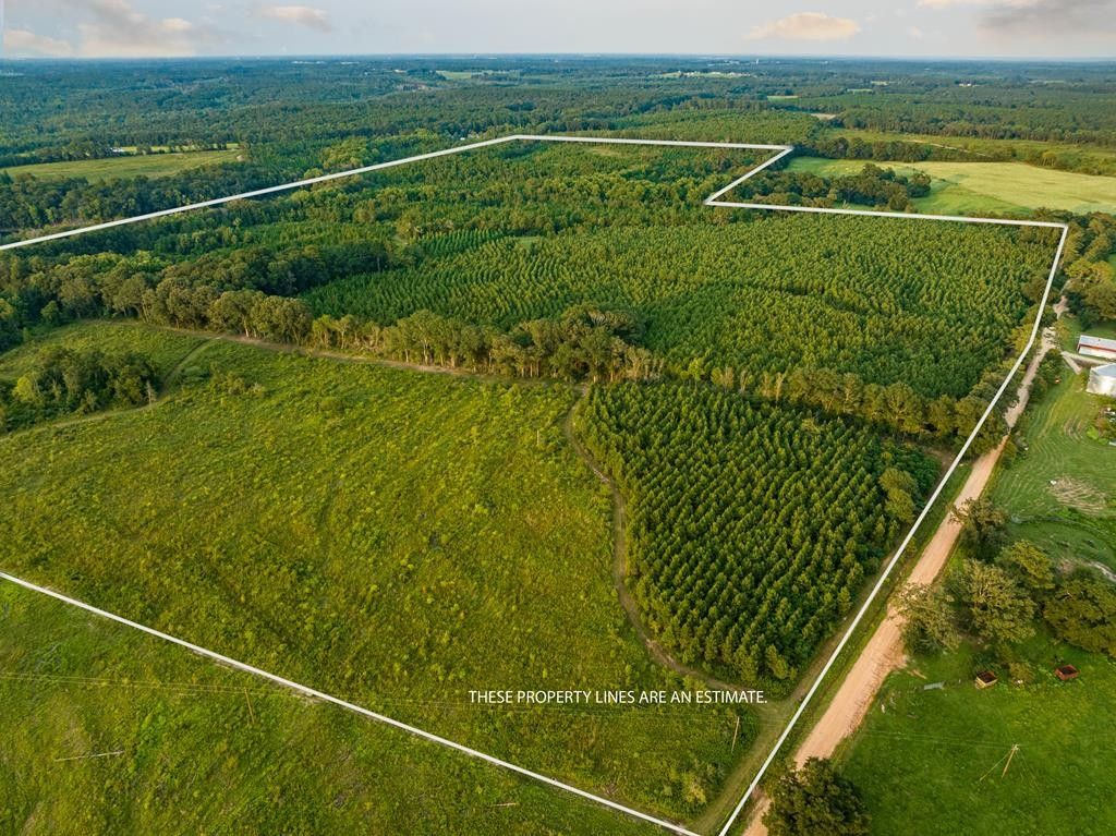 131 acres in Coffee County, Alabama