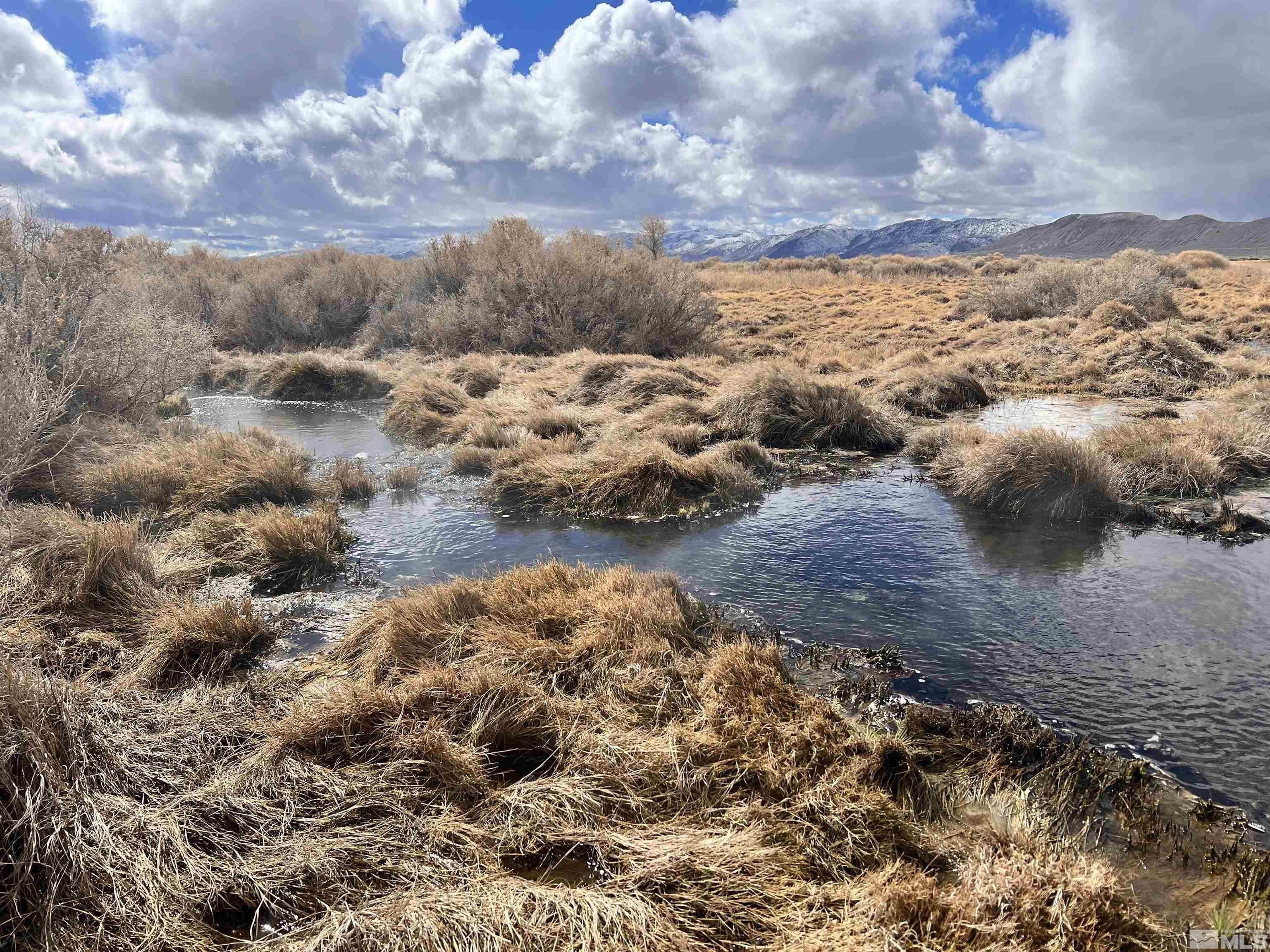 Unspecifie Unspecified, Gerlach, NV 89412 MLS 230006182