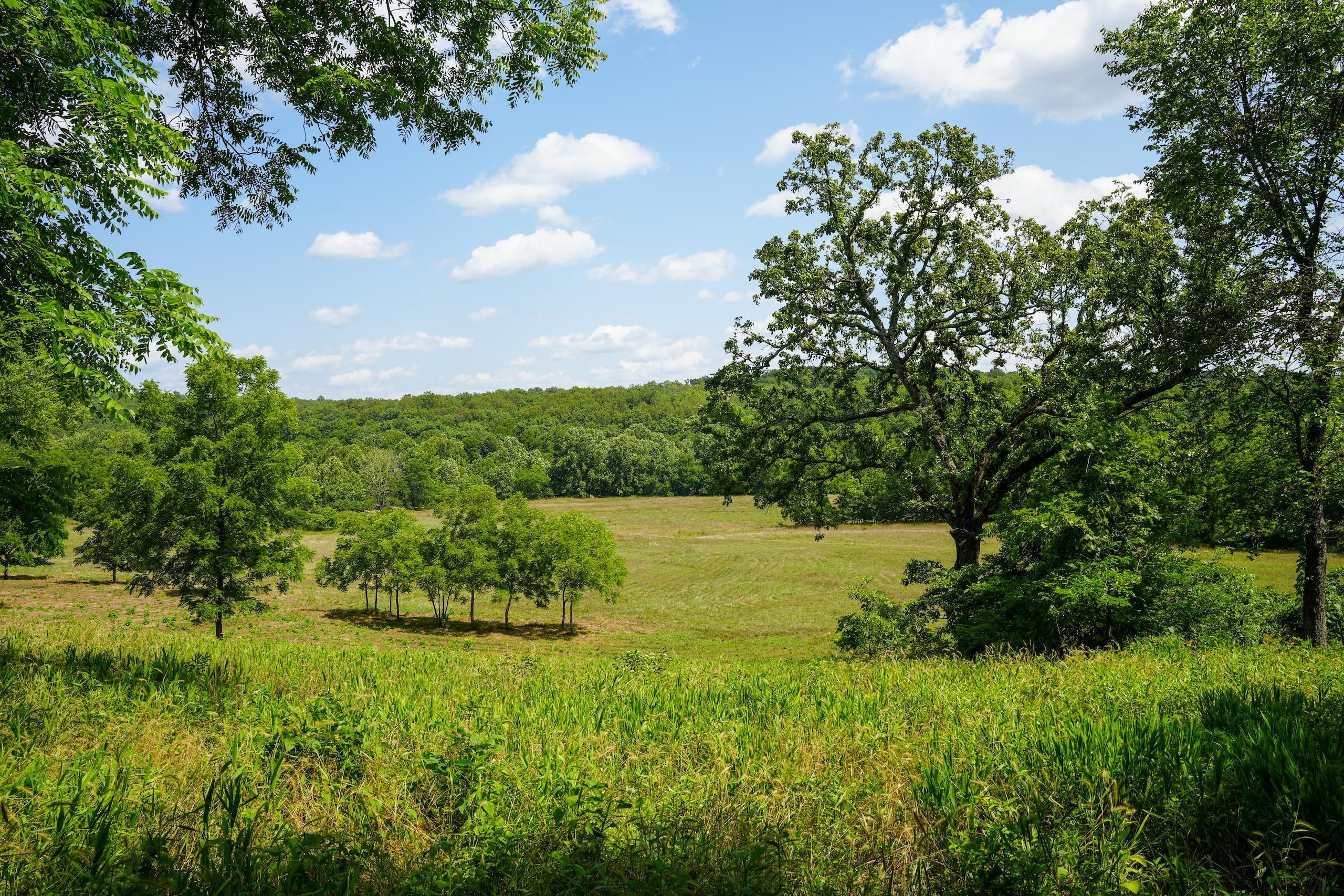 168.36 acres in Dallas County, Missouri