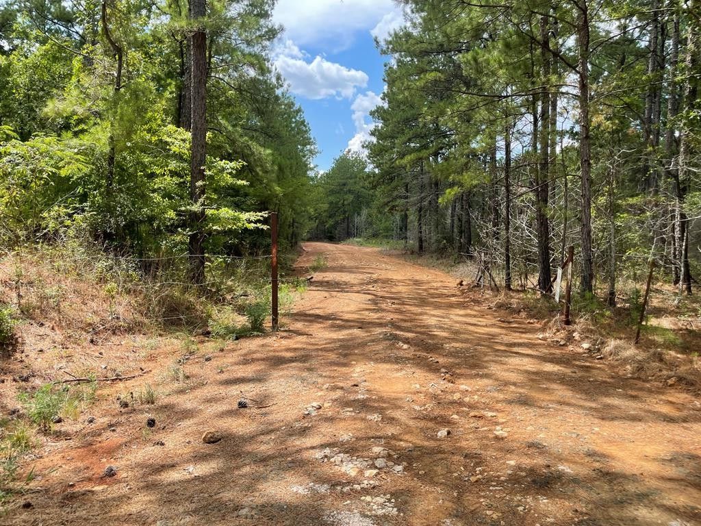 462.96 acres in Sabine County, Texas