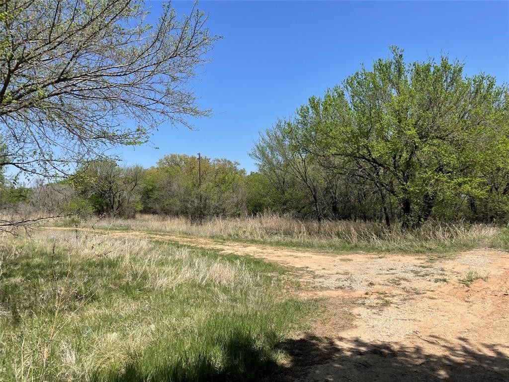 50 acres in Young County, Texas