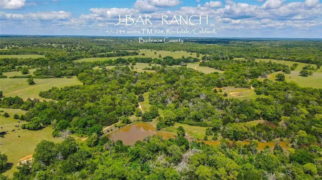 244 acres in Burleson County, Texas