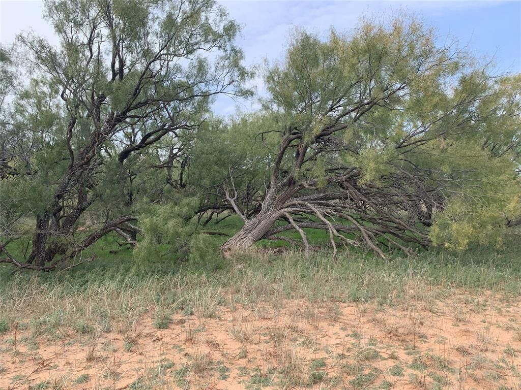 100 acres in Nolan County, Texas