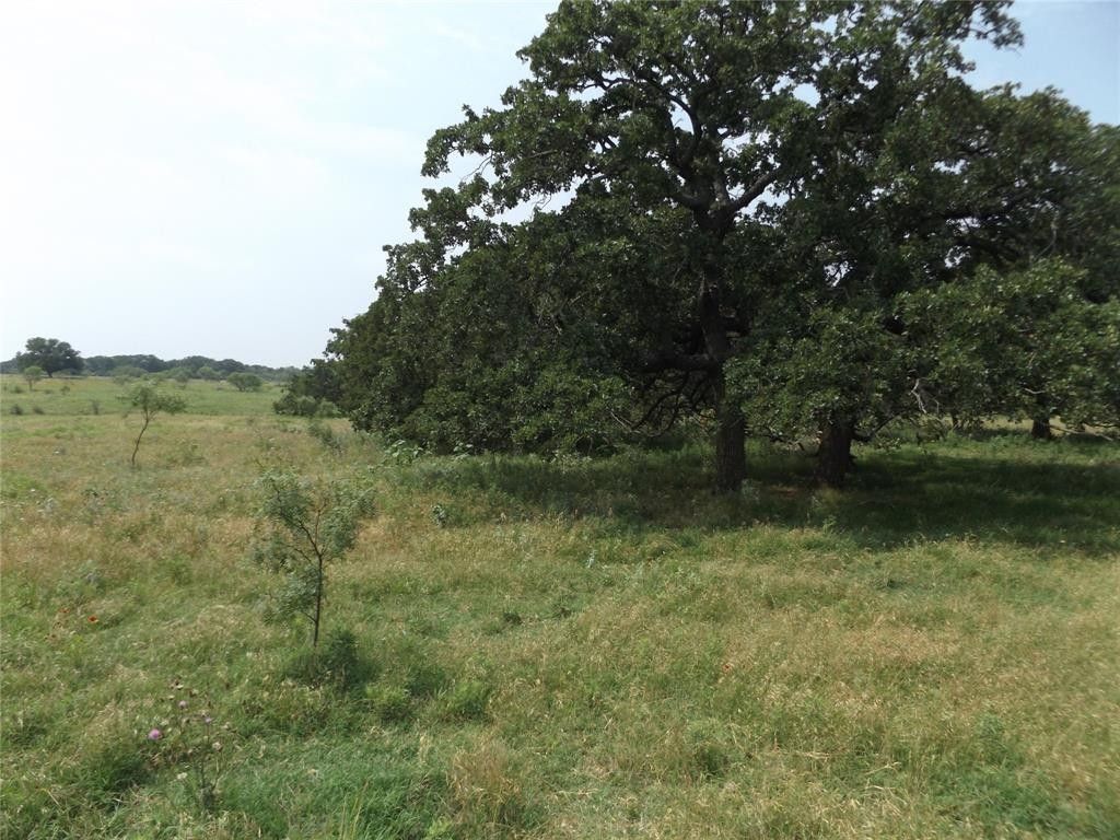 51 acres in Jack County, Texas