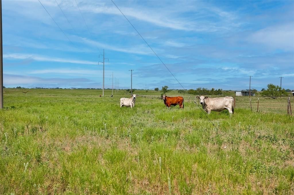 10 acres in Cooke County, Texas