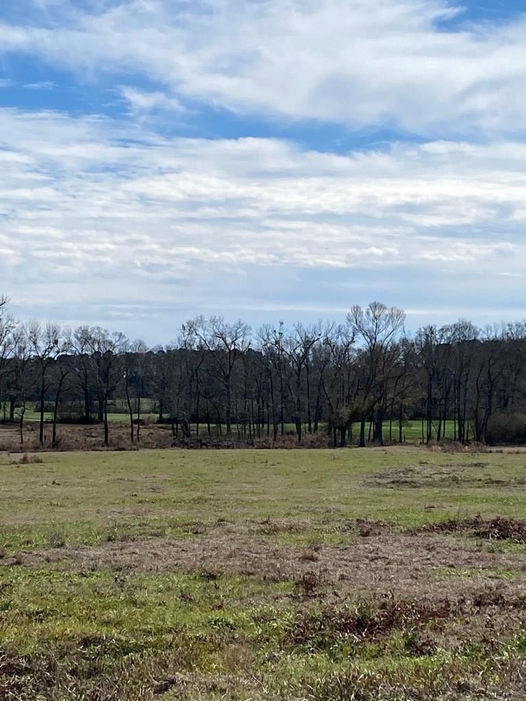 23.35 acres in Amite County, Mississippi