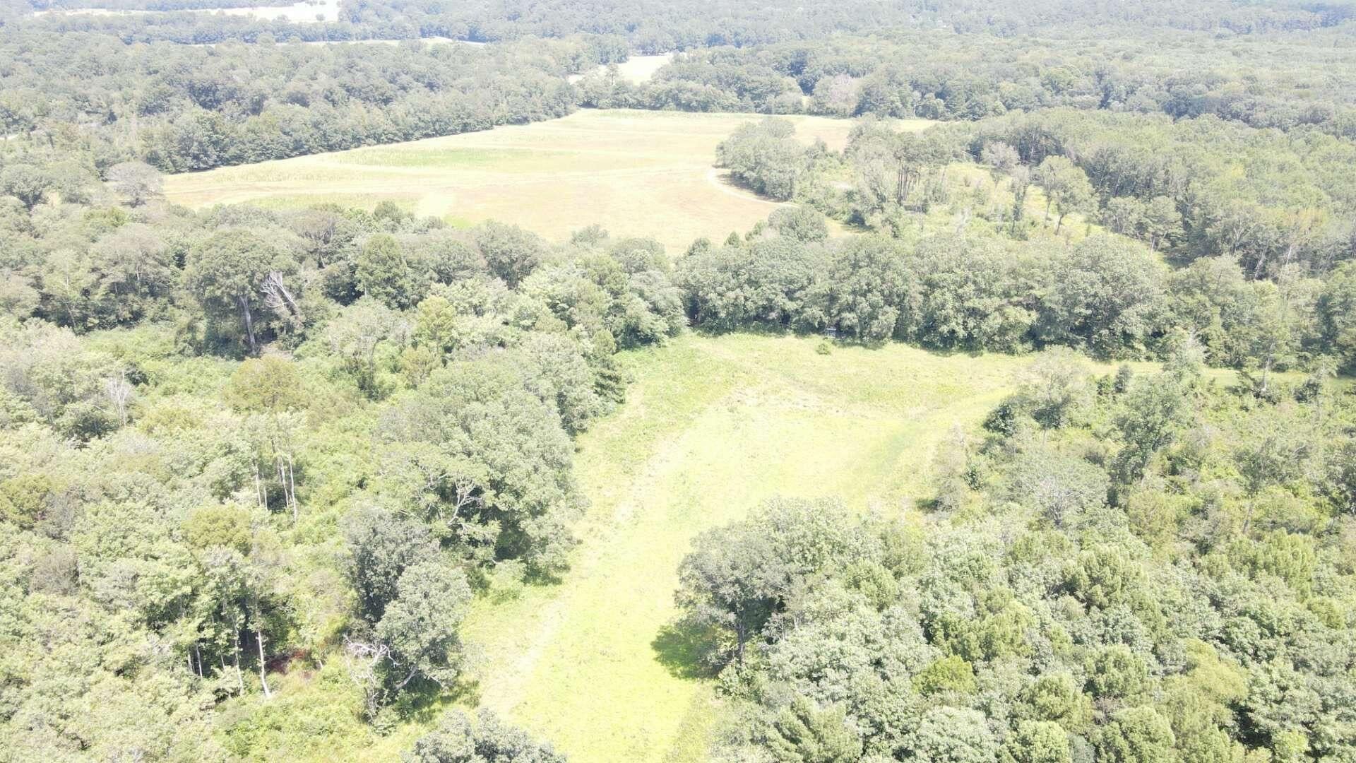 90 acres in Pickens County, Alabama