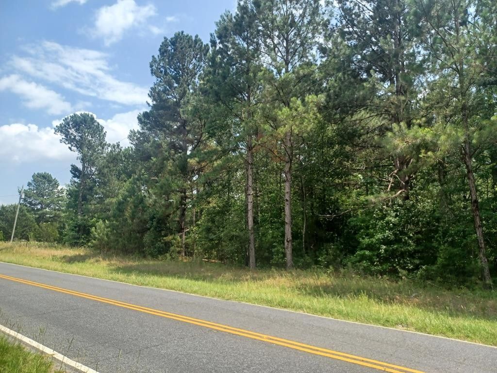 3.03 acres in Clarendon County, South Carolina