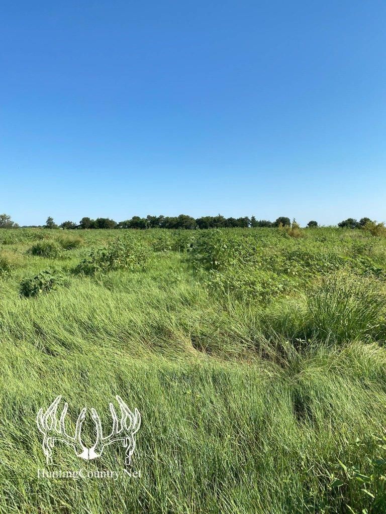 105 acres in Meade County, Kansas