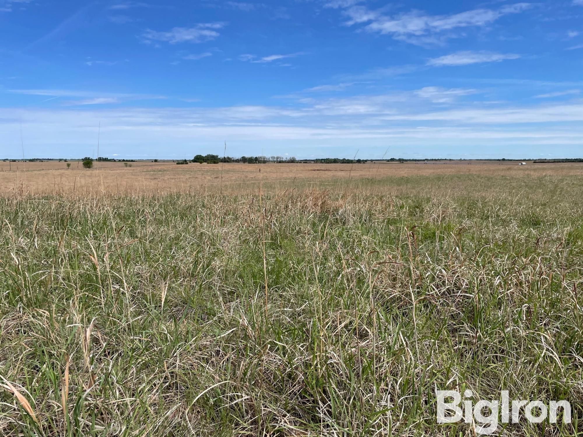 156.42 acres in Pratt County, Kansas