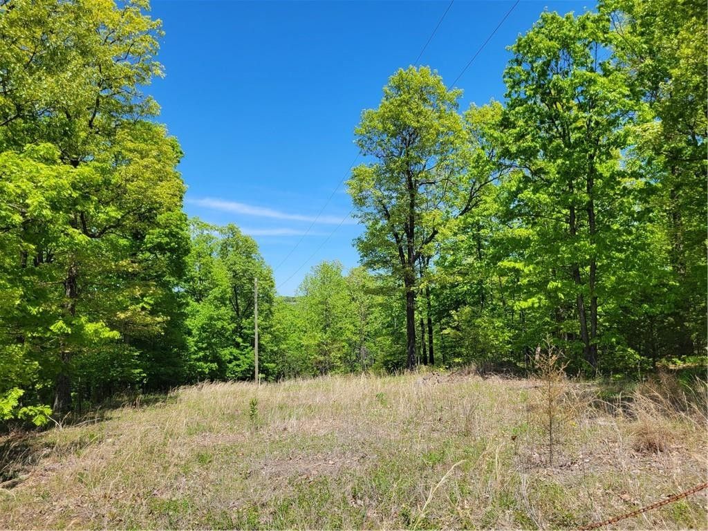 8 acres in Madison County, Arkansas
