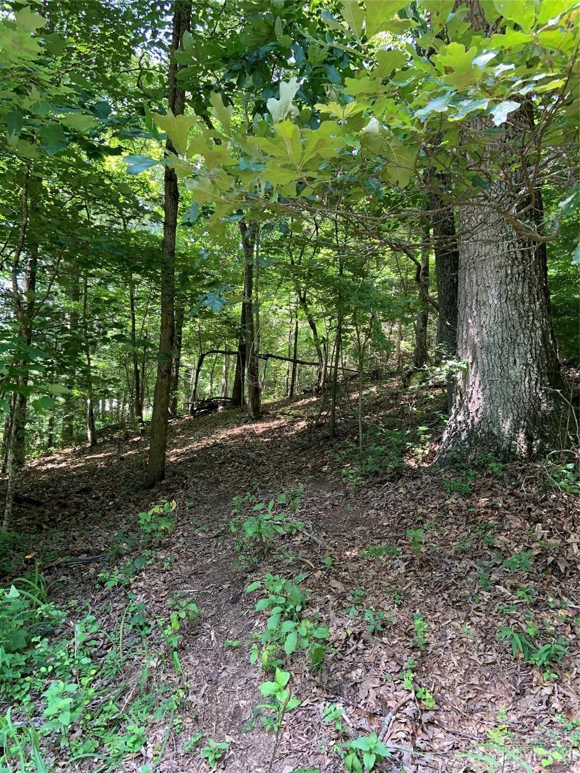 5 acres in Macon County, North Carolina