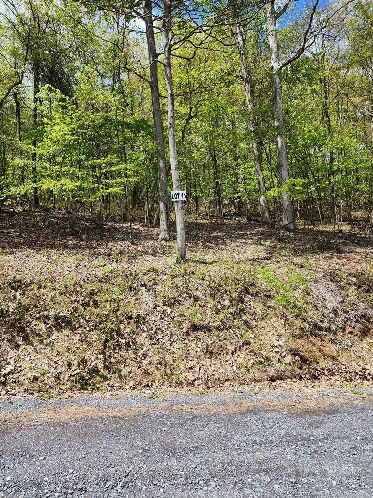 3.65 acres in Huntingdon County, Pennsylvania