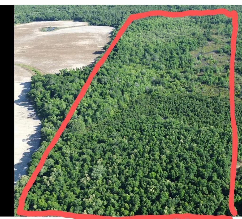 100 acres in Miller County,