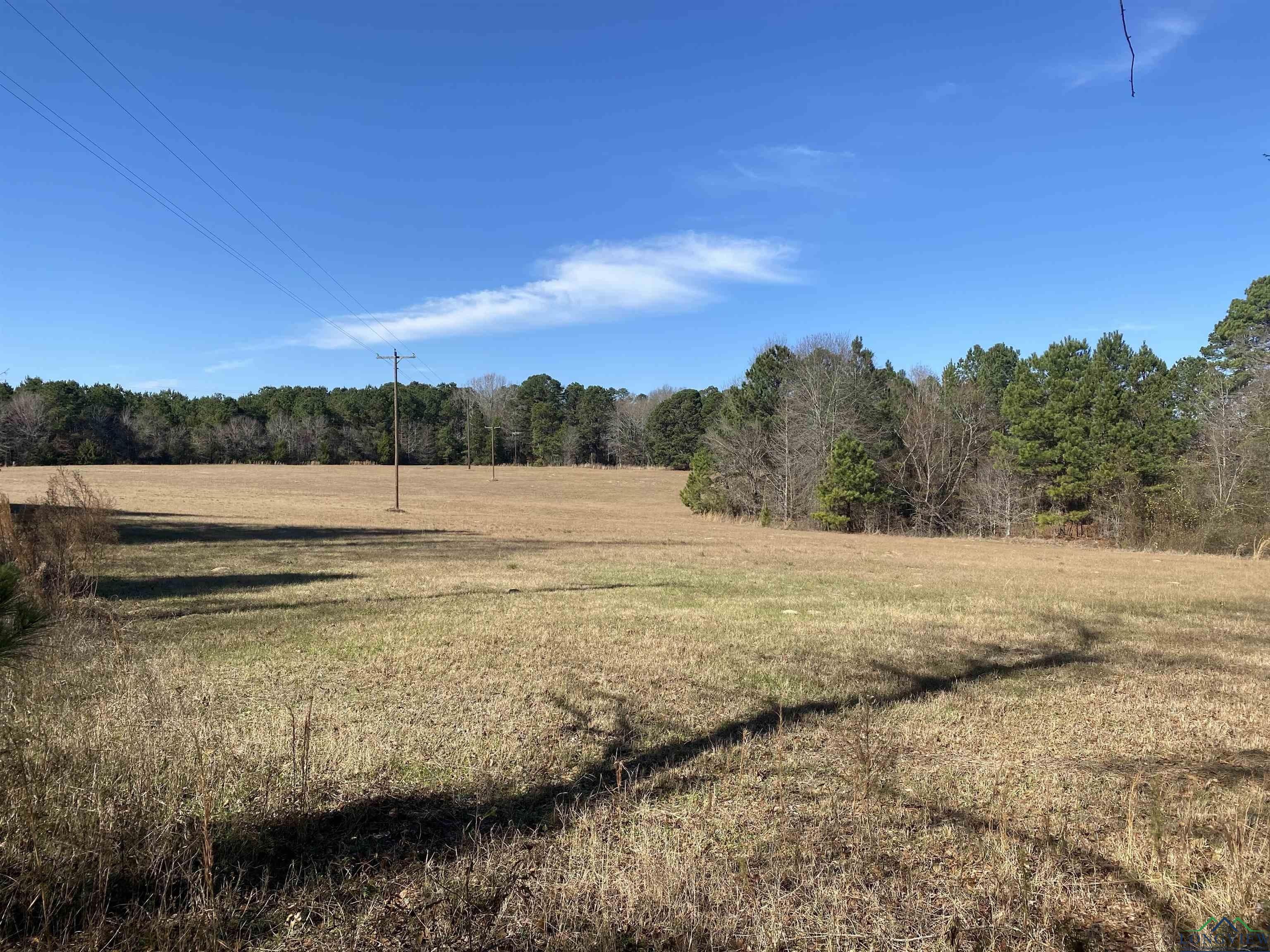93 acres in Harrison County, Texas