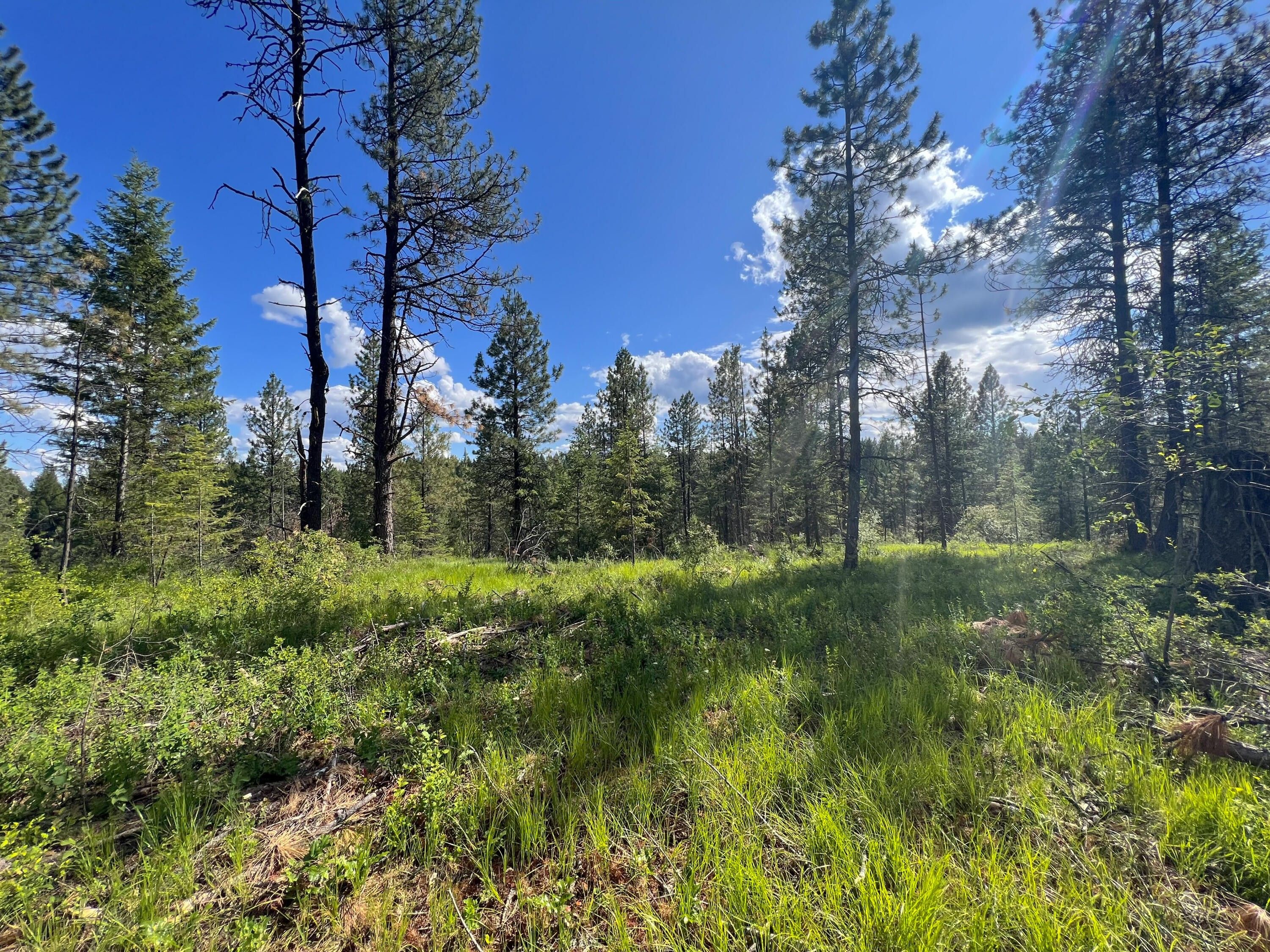 20 acres in Stevens County, Washington